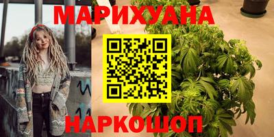 мдпв Кингисепп