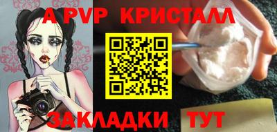 мдпв Кингисепп
