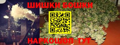 мдпв Кингисепп