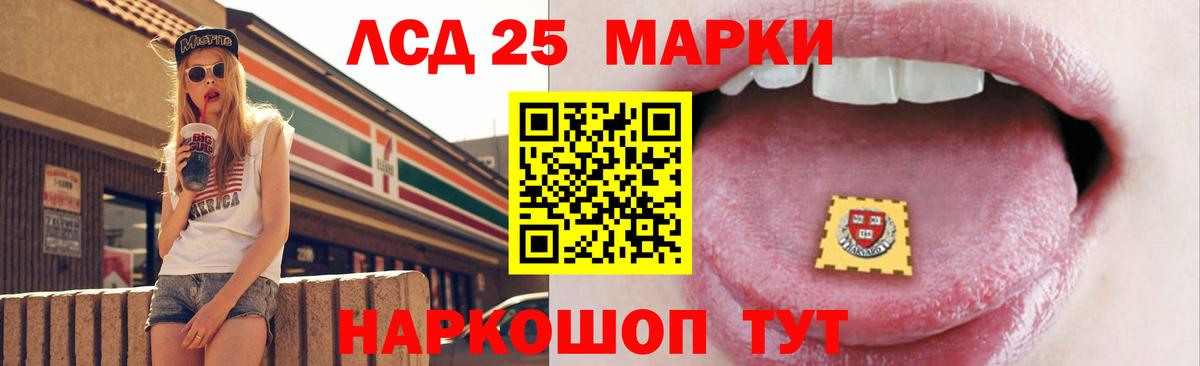Псилоцибиновые грибы Красногорск