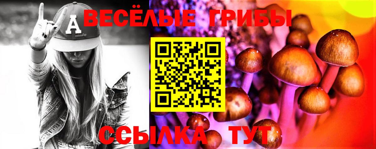Псилоцибиновые грибы Cubensis  Вход с VPN  Красногорск 