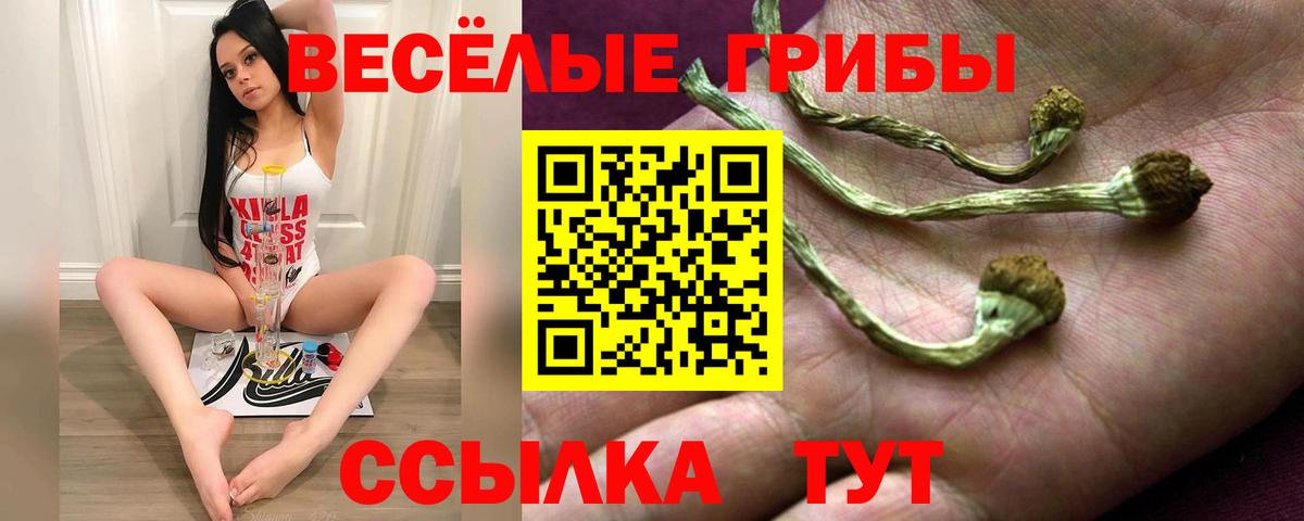 Псилоцибиновые грибы Psilocybine cubensis Красногорск